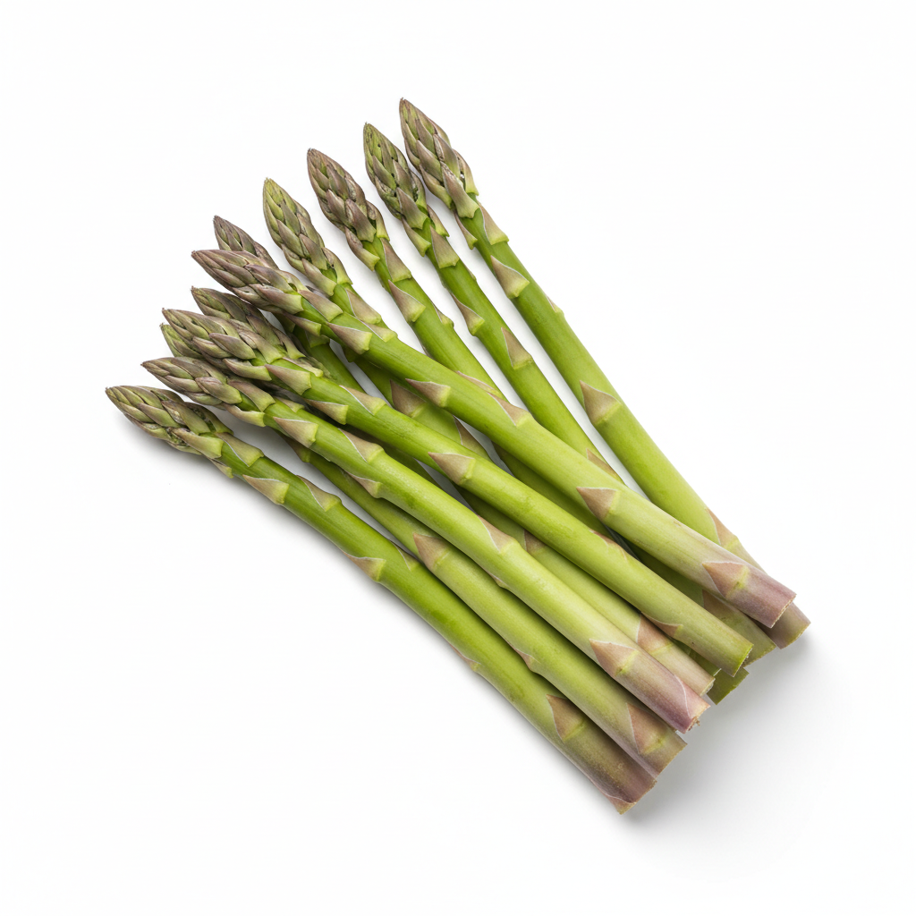 Asperge Mary Washington - Semences Québec | Les Semis de la Seigneurie