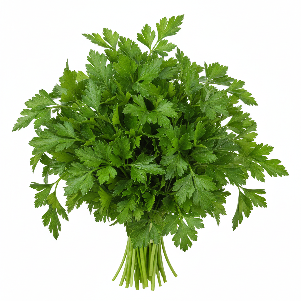 Parsley - Italian