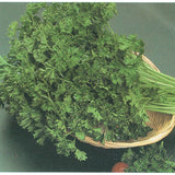 Semences persil frisé Moss Curled décoratif Québec - Graines persil garnir zone 4b