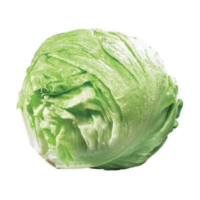 Laitue Iceberg – Semences Québec | Les Semis de La Seigneurie