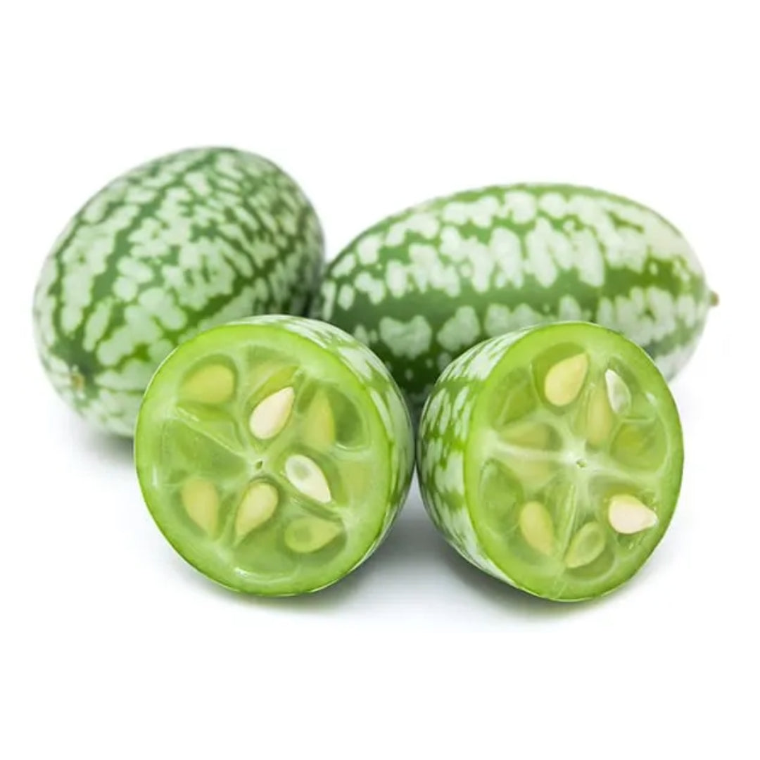 Concombre Cucumelon - Semences Québec | Les Semis de la Seigneurie