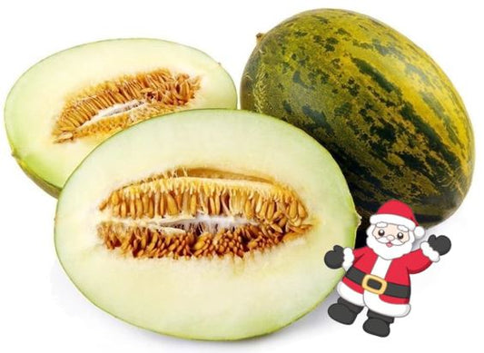 Melon du Père-Noel