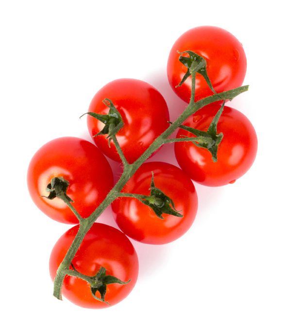 Tomate - Tiny Tim (Cerise) (Semences)