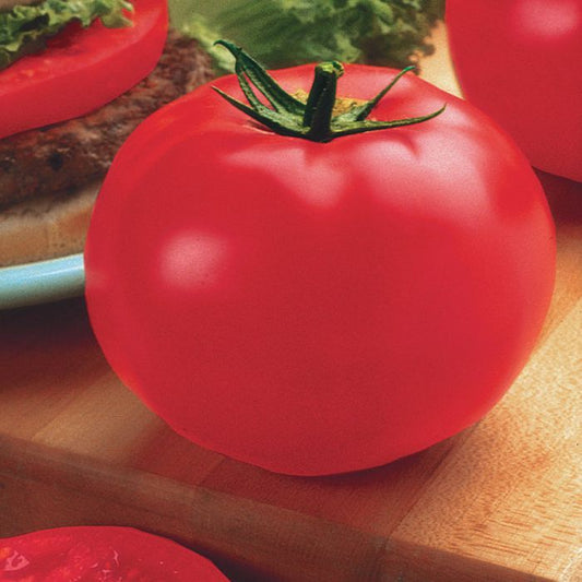 Tomate - Beefsteak