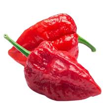 Piment Ghost Bhut Jolokia - Semences Québec | Les Semis de la Seigneurie