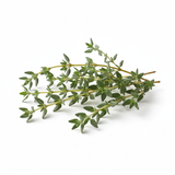 Thyme
