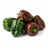 Pepper - Bastan/Poblano