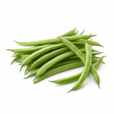 Bean - Green