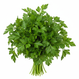 Parsley - Italian