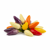 Piment Chinese 5 Colors - Semences Québec | Les Semis de la Seigneurie