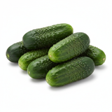 Concombre Pickle - Semences Québec | Les Semis de la Seigneurie