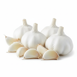 Ail Porcelaine Music - Caïeux Québec | Les Semis de la Seigneurie