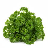 Parsley - Moss Curled