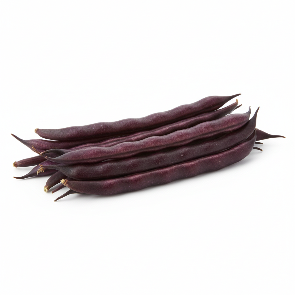 Haricot Mauve Royal Burgundy - Semences Québec | Les Semis de la Seigneurie