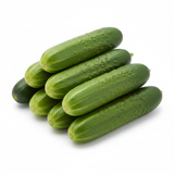 Concombre Libanais - Semences Québec | Les Semis de la Seigneurie