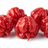 Piment Trinidad Scorpion - Semences Québec | Les Semis de la Seigneurie
