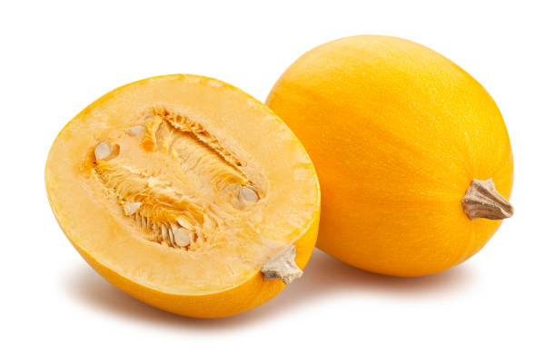 Courge Spaghetti - Semences Québec | Les Semis de la Seigneurie