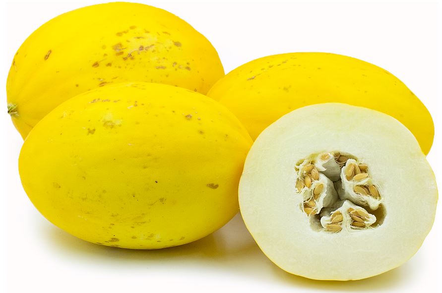 Melon - Canarie (Plant)