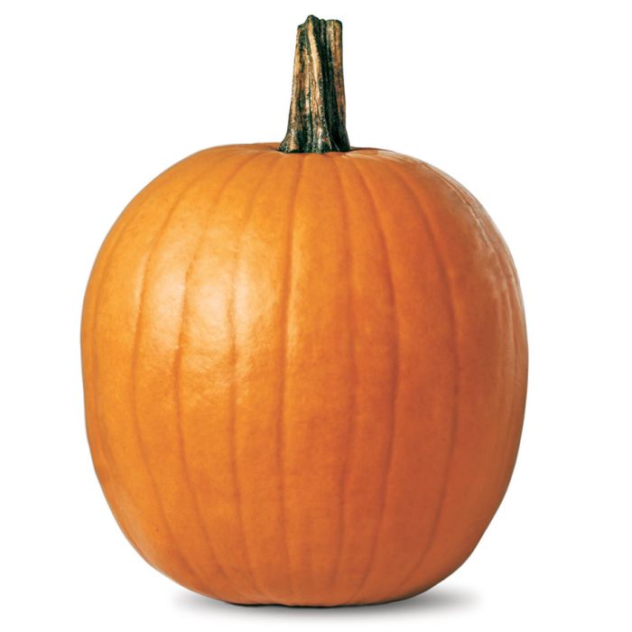 Citrouille - Jack-O-Lantern (Plant)